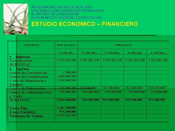 PROCESAMIENTO DE GEL DE ALOE VERA UTILIZANDO COMO INNOVACION TECNOLOGICA EL PROCESO DE LIOFILIZACION