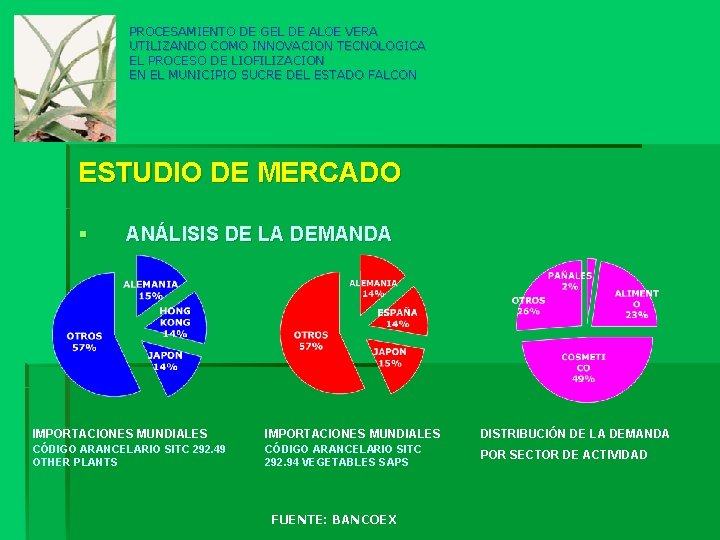 PROCESAMIENTO DE GEL DE ALOE VERA UTILIZANDO COMO INNOVACION TECNOLOGICA EL PROCESO DE LIOFILIZACION