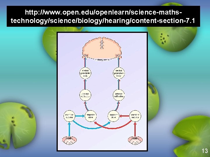 http: //www. open. edu/openlearn/science-mathstechnology/science/biology/hearing/content-section-7. 1 13 