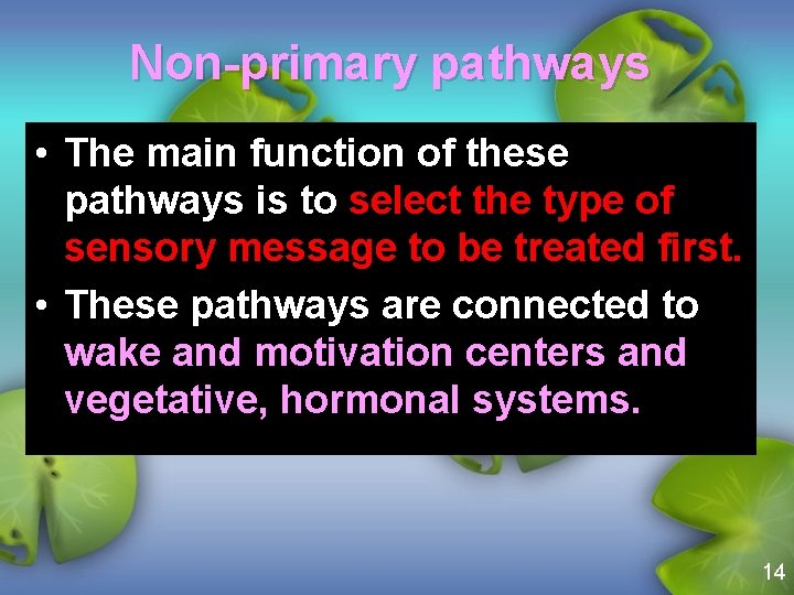 Non-primary pathways • The main function of these pathways is to select the type