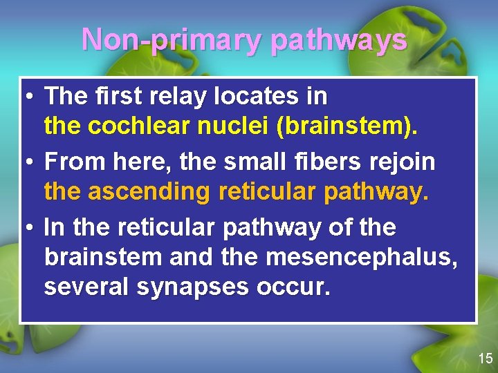 Non-primary pathways • The first relay locates in the cochlear nuclei (brainstem). • From