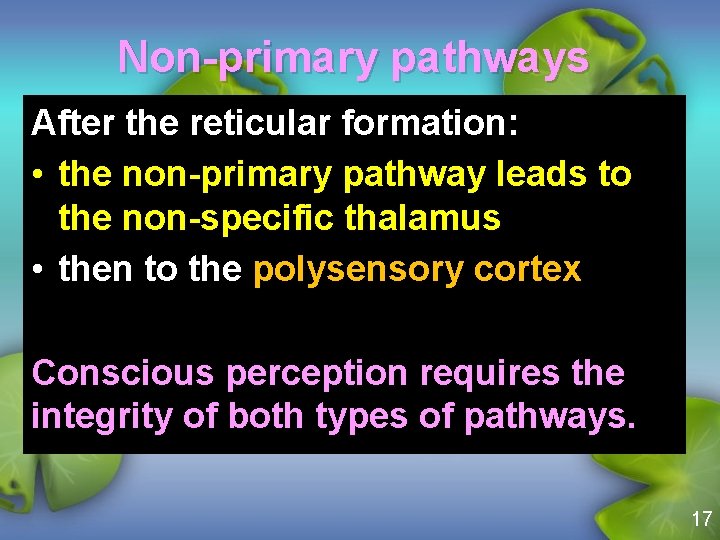 Non-primary pathways After the reticular formation: • the non-primary pathway leads to the non-specific