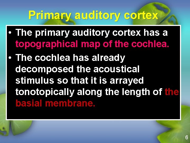 Primary auditory cortex • The primary auditory cortex has a topographical map of the