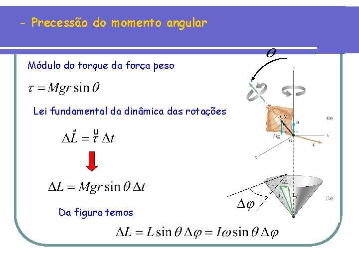 - Precessão do momento angular Módulo do torque da força peso Lei fundamental da