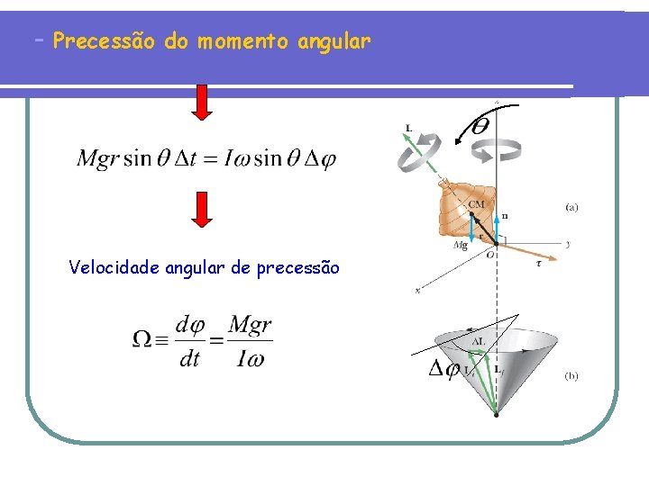 - Precessão do momento angular Velocidade angular de precessão 