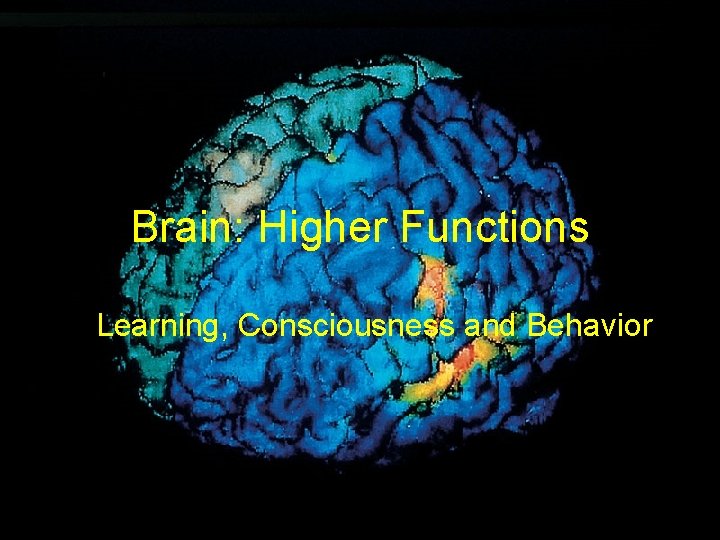 Brain: Higher Functions Learning, Consciousness and Behavior 