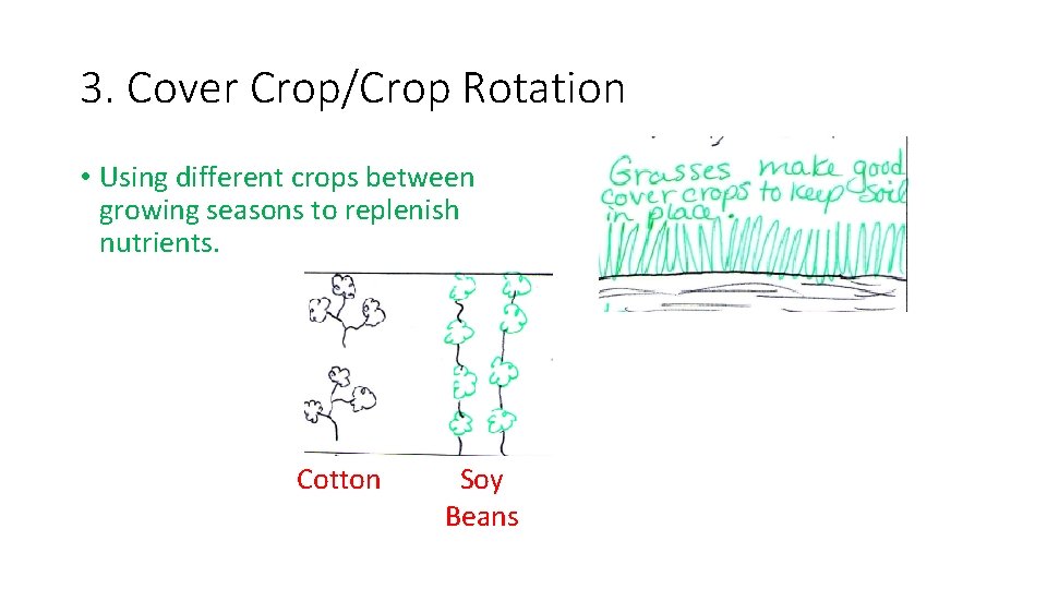 3. Cover Crop/Crop Rotation • Using different crops between growing seasons to replenish nutrients.