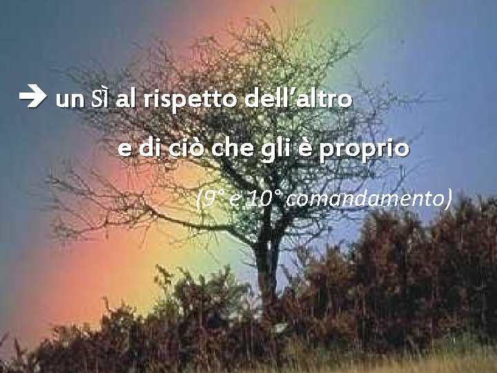  un SÌ al rispetto dell’altro e di ciò che gli è proprio (9°