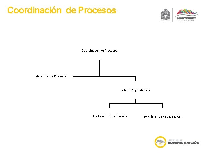 Coordinación de Procesos Coordinador de Procesos Analistas de Procesos Jefe de Capacitación Analista de