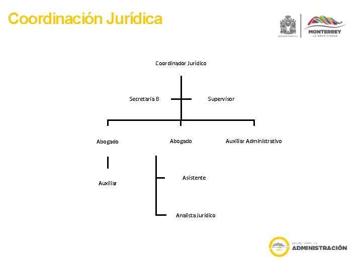 Coordinación Jurídica Coordinador Jurídico Supervisor Secretaria B Abogado Auxiliar Abogado Asistente Analista Jurídico Auxiliar