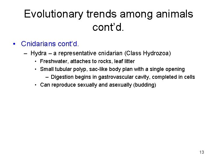 Evolutionary trends among animals cont’d. • Cnidarians cont’d. – Hydra – a representative cnidarian