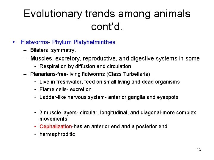Evolutionary trends among animals cont’d. • Flatworms- Phylum Platyhelminthes – Bilateral symmetry, – Muscles,