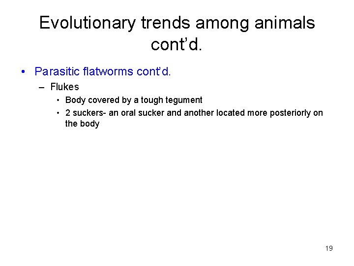 Evolutionary trends among animals cont’d. • Parasitic flatworms cont’d. – Flukes • Body covered