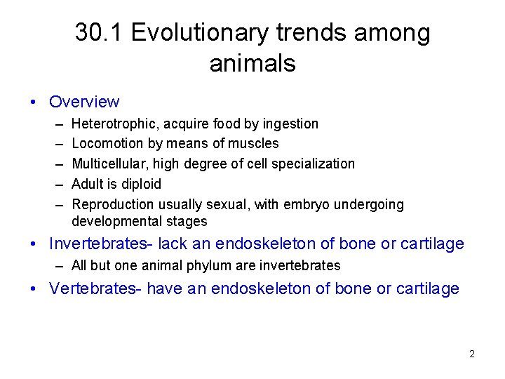 30. 1 Evolutionary trends among animals • Overview – – – Heterotrophic, acquire food