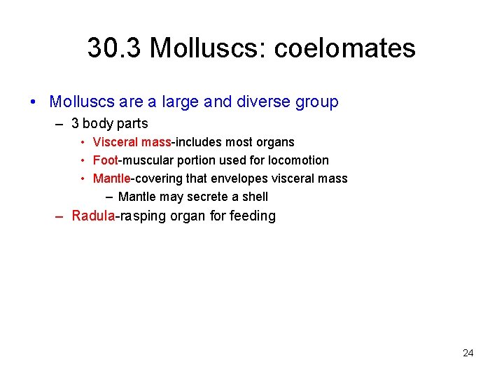 30. 3 Molluscs: coelomates • Molluscs are a large and diverse group – 3