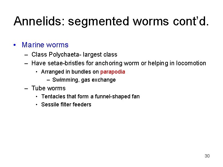 Annelids: segmented worms cont’d. • Marine worms – Class Polychaeta- largest class – Have