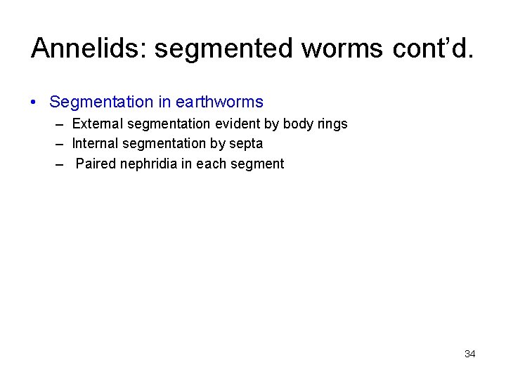 Annelids: segmented worms cont’d. • Segmentation in earthworms – External segmentation evident by body