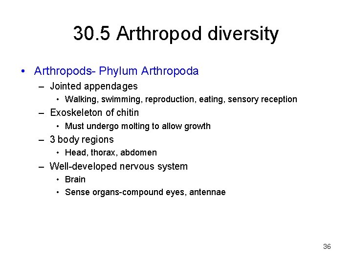 30. 5 Arthropod diversity • Arthropods- Phylum Arthropoda – Jointed appendages • Walking, swimming,