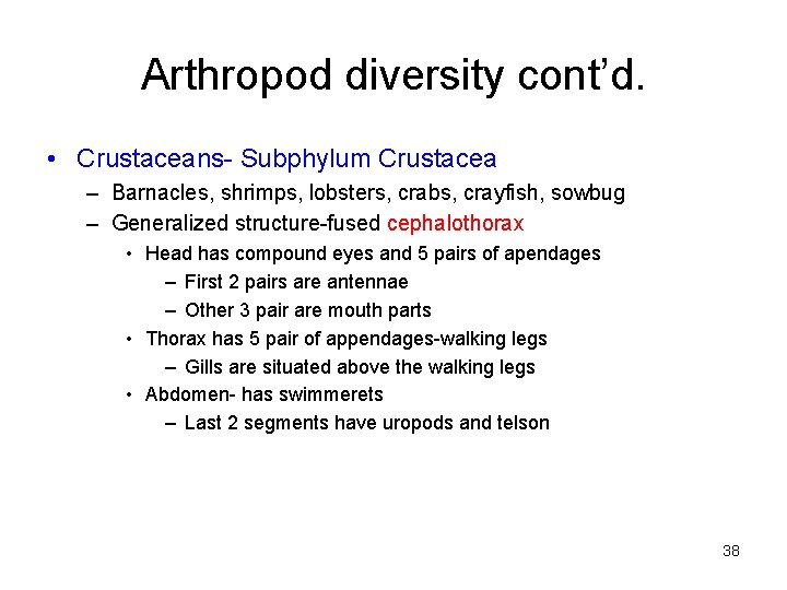 Arthropod diversity cont’d. • Crustaceans- Subphylum Crustacea – Barnacles, shrimps, lobsters, crabs, crayfish, sowbug