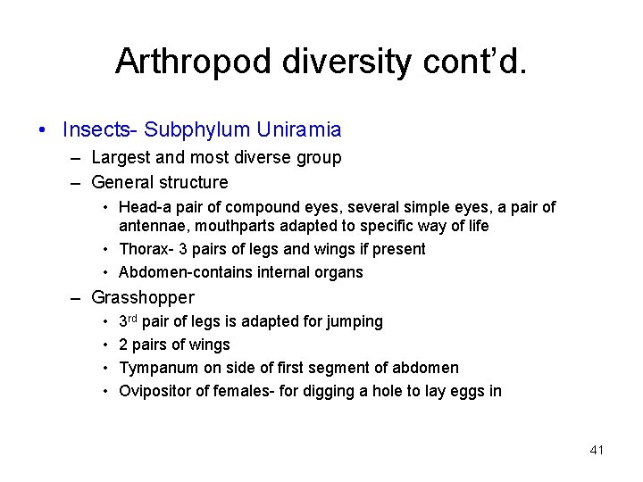 Arthropod diversity cont’d. • Insects- Subphylum Uniramia – Largest and most diverse group –