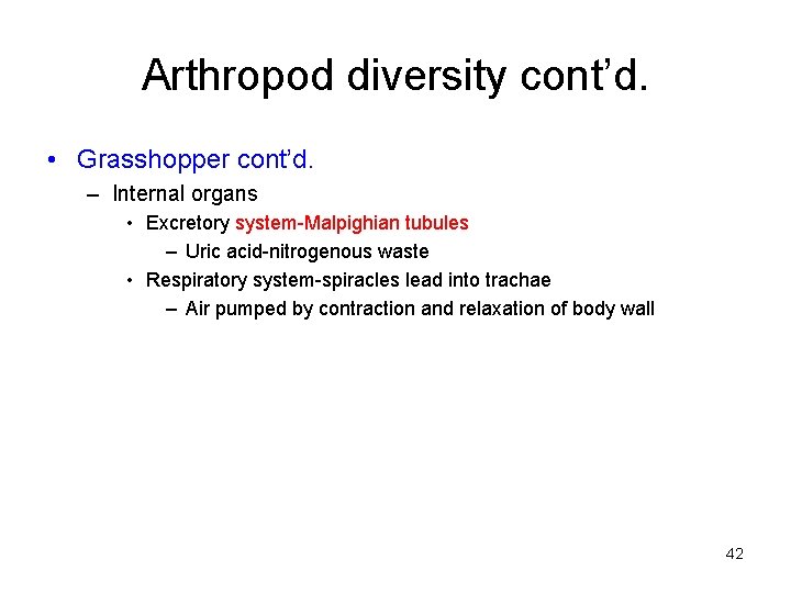 Arthropod diversity cont’d. • Grasshopper cont’d. – Internal organs • Excretory system-Malpighian tubules –