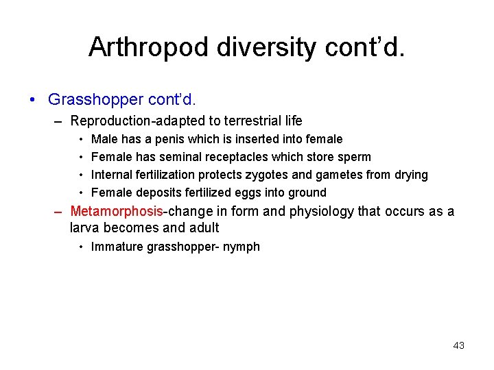 Arthropod diversity cont’d. • Grasshopper cont’d. – Reproduction-adapted to terrestrial life • • Male