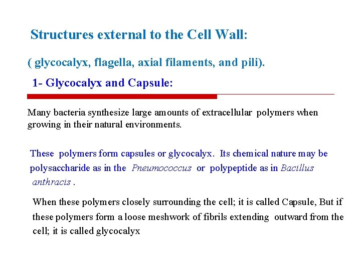 Structures external to the Cell Wall: ( glycocalyx, flagella, axial filaments, and pili). 1