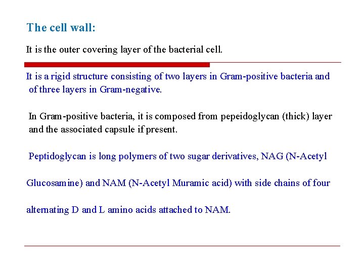 The cell wall: It is the outer covering layer of the bacterial cell. It