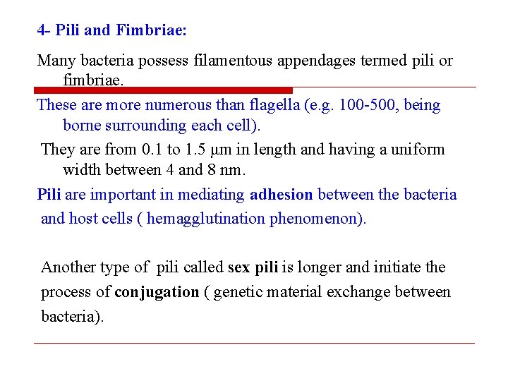 4 - Pili and Fimbriae: Many bacteria possess filamentous appendages termed pili or fimbriae.