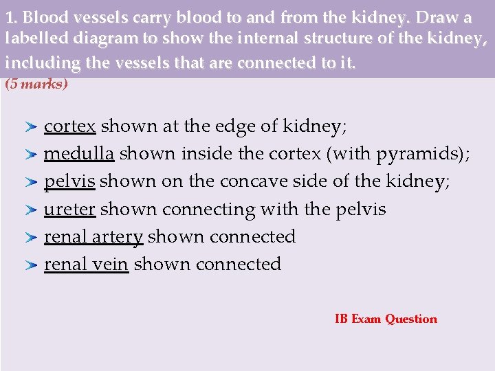 1. Blood vessels carry blood to and from the kidney. Draw a labelled diagram