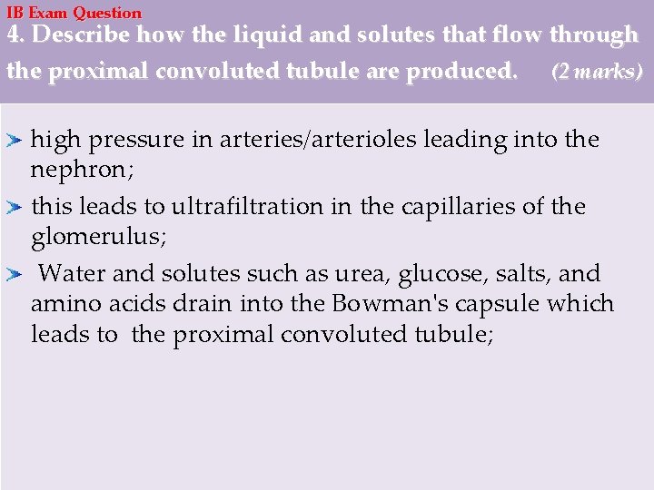 IB Exam Question 4. Describe how the liquid and solutes that flow through the