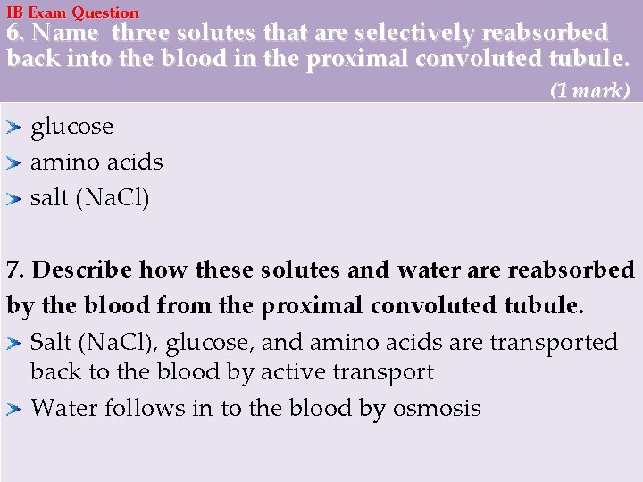 IB Exam Question 6. Name three solutes that are selectively reabsorbed back into the