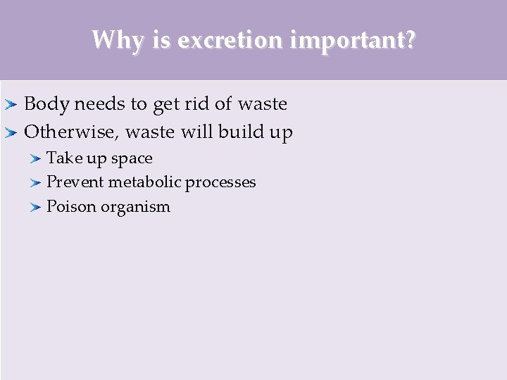 Why is excretion important? Body needs to get rid of waste Otherwise, waste will