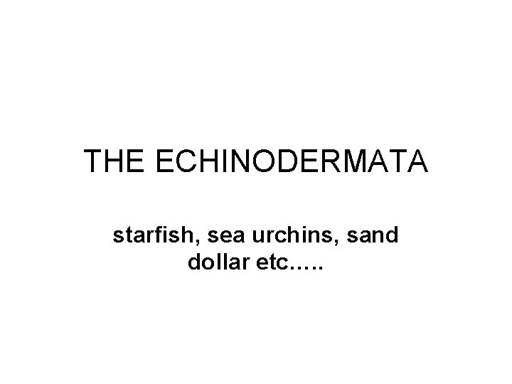 THE ECHINODERMATA starfish, sea urchins, sand dollar etc…. . 