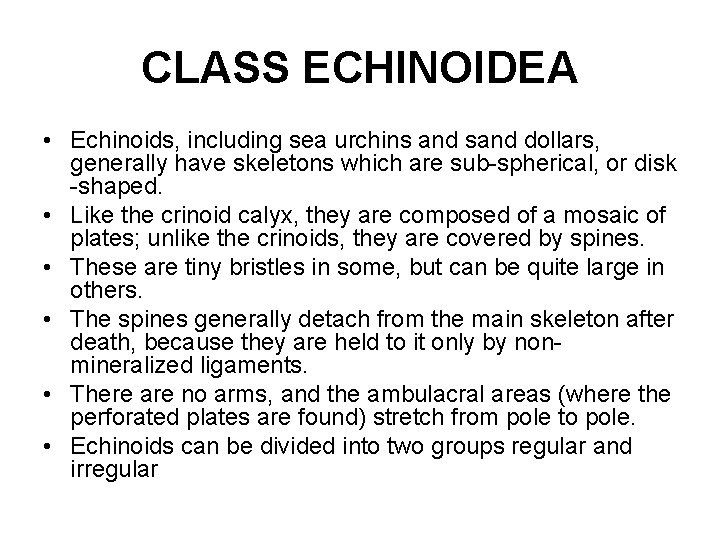 CLASS ECHINOIDEA • Echinoids, including sea urchins and sand dollars, generally have skeletons which