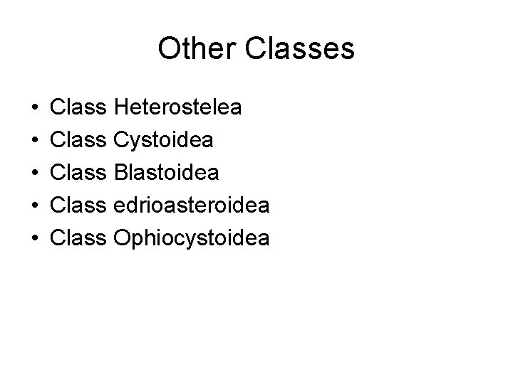 Other Classes • • • Class Heterostelea Class Cystoidea Class Blastoidea Class edrioasteroidea Class