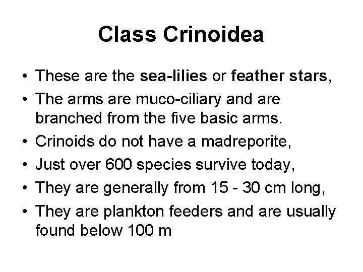 Class Crinoidea • These are the sea-lilies or feather stars, • The arms are
