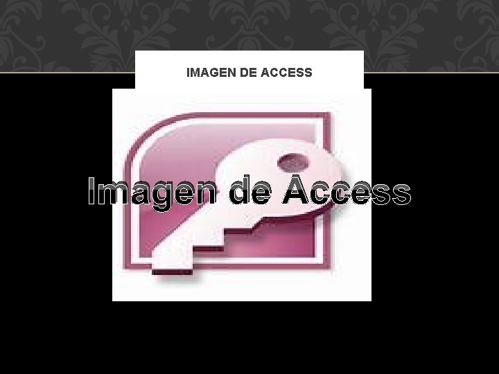 IMAGEN DE ACCESS Imagen de Access 