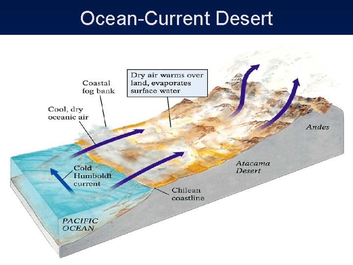 Ocean-Current Desert 