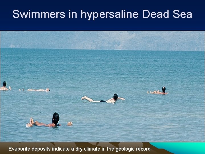 Swimmers in hypersaline Dead Sea Evaporite deposits indicate a dry climate in the geologic