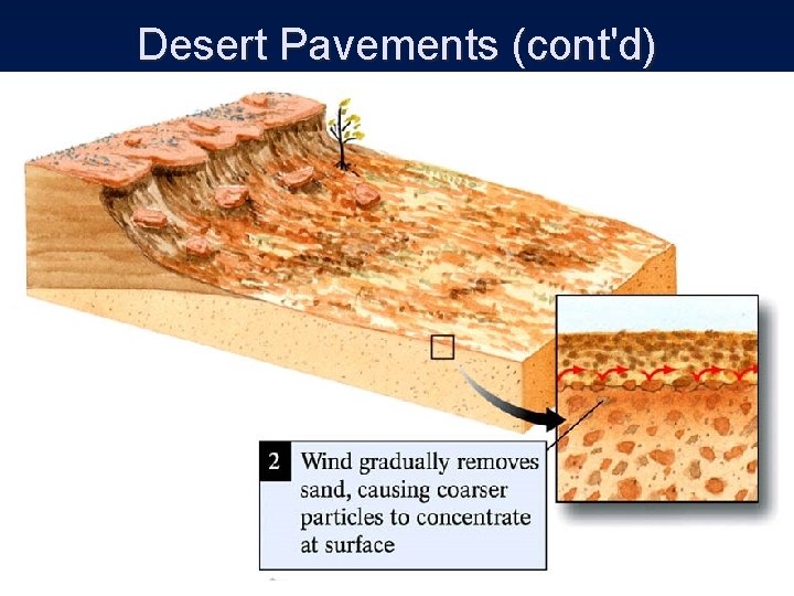 Desert Pavements (cont'd) 