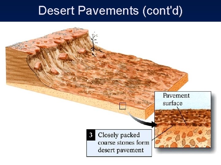 Desert Pavements (cont'd) 