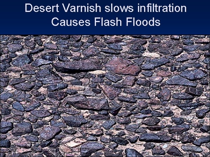 Desert Varnish slows infiltration Causes Flash Floods 