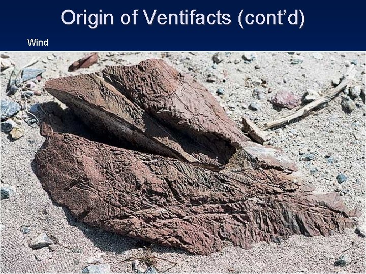 Origin of Ventifacts (cont’d) Wind 