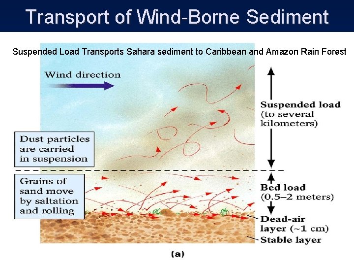 Transport of Wind-Borne Sediment Suspended Load Transports Sahara sediment to Caribbean and Amazon Rain