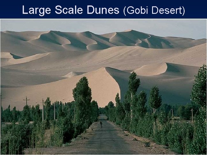 Large Scale Dunes (Gobi Desert) 