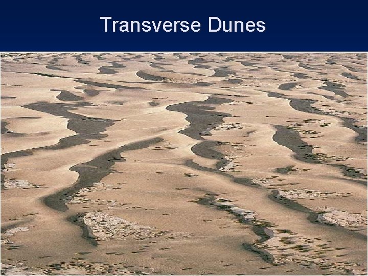 Transverse Dunes 