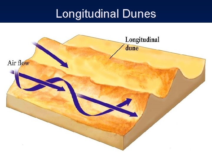 Longitudinal Dunes 