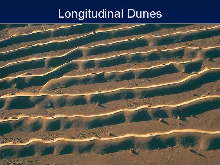 Longitudinal Dunes 