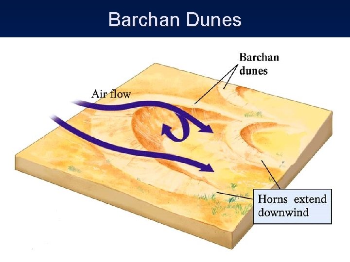 Barchan Dunes 